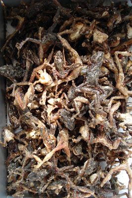 fried frogs