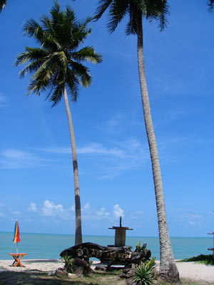 Thong Yi Beach