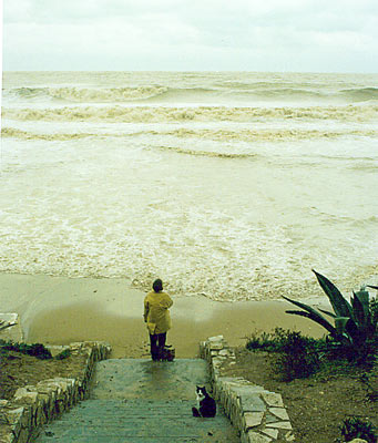 La Marsa corniche beach - november