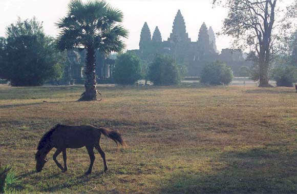 angkor wat