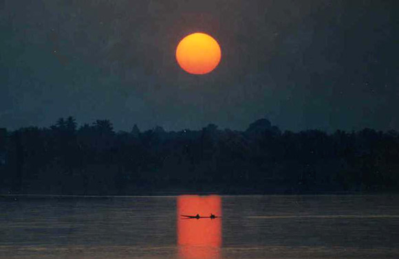 angkor wat