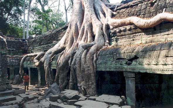 ta prohm