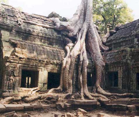 ta prohm