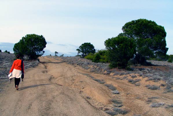 guzelyurt bay walk