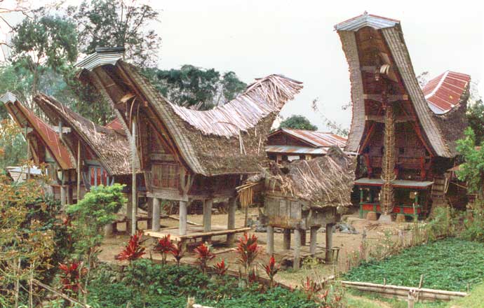 toraja houses