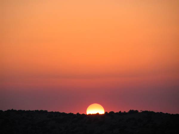 desert sunset