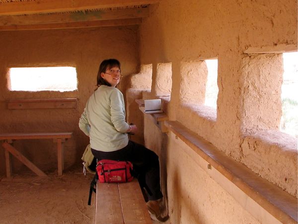 hide in Azraq reserve