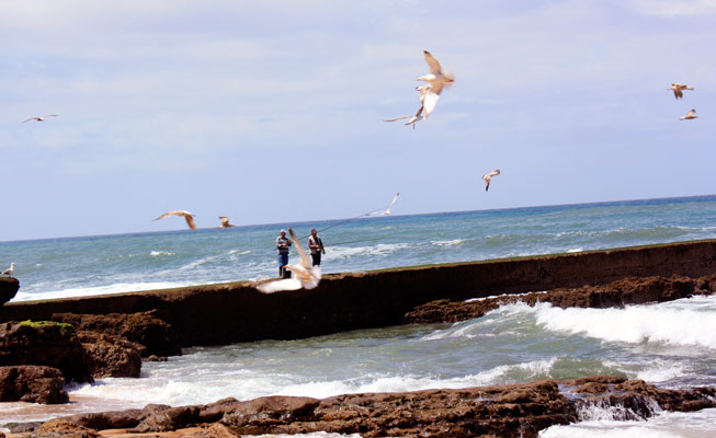 Ericeira