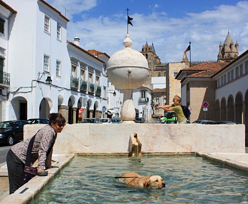 fountain in Evora