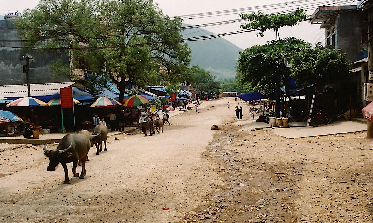 Main street Than Uyen
